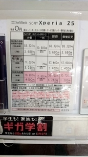 DSC_エクスぺリアZ5 3 (225x400).jpg