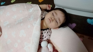 2016-3-26愛娘いちご1 (500x281).jpg