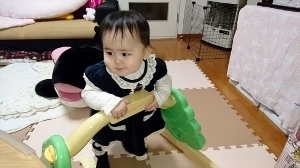 2016-3-2いちご1 (300x168).jpg