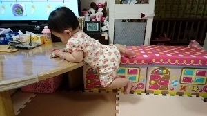 2016-3-7いたずらっ子 (300x169).jpg