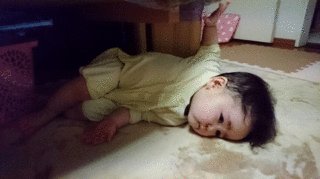 テーブル下へムービー(笑).gif