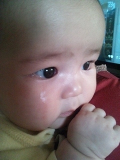 ママっ子全開中 (300x400) (2).jpg