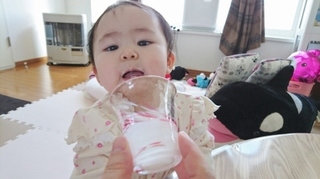 初めての飲むヨーグルト1 (500x281).jpg