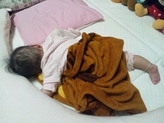 帰宅後爆睡いちご1 (400x300).jpg