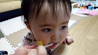 歯磨き1 (500x281).jpg