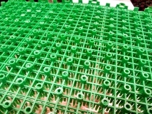 進入禁止人工芝2 (300x225).jpg