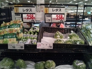 野菜激高2 (300x225).jpg