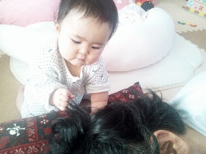 髪引っ張り小.gif